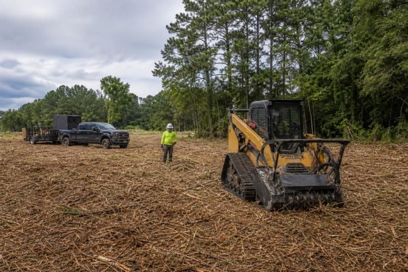 Acreage Forestry Mulching in Pearland