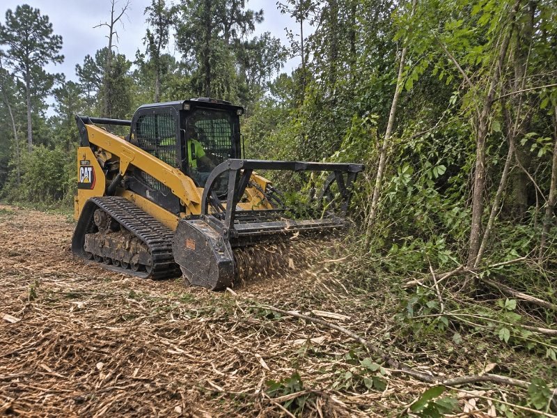 Acreage Forestry Mulching services in Pearland, Texas