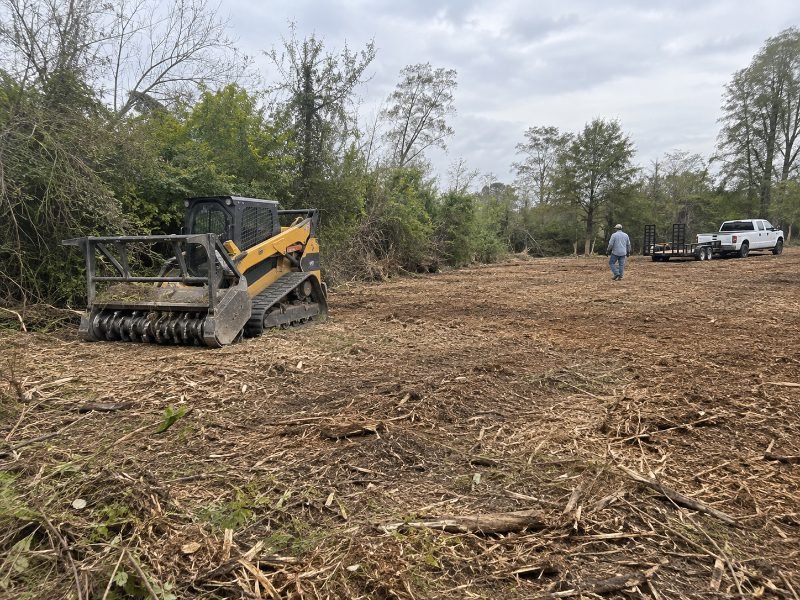 Forestry Mulching in Pearland