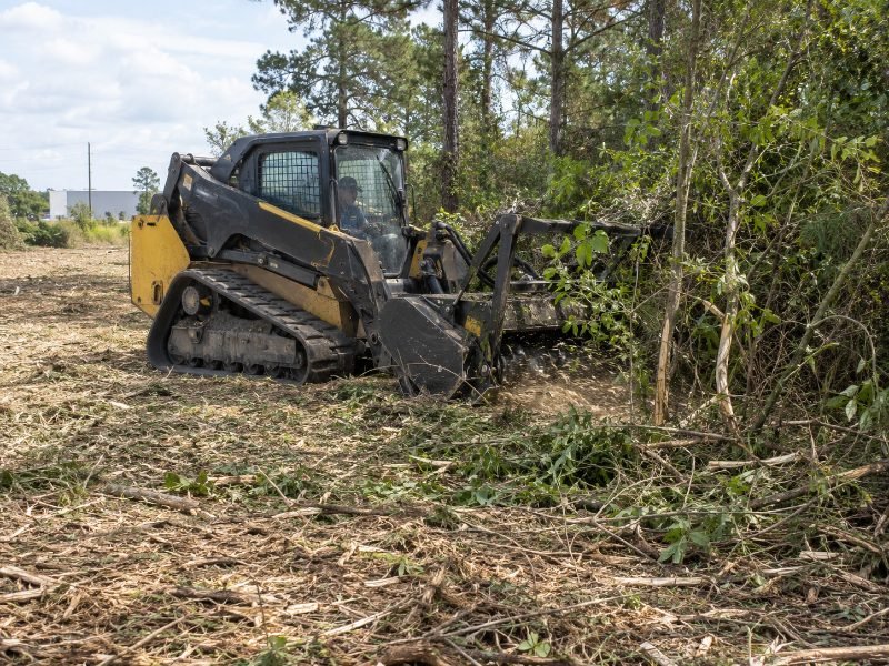 Forestry Mulching pricing and estimates in Pearland