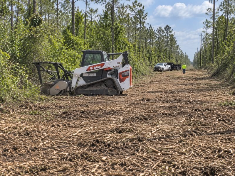 Forestry Mulching project in Pearland