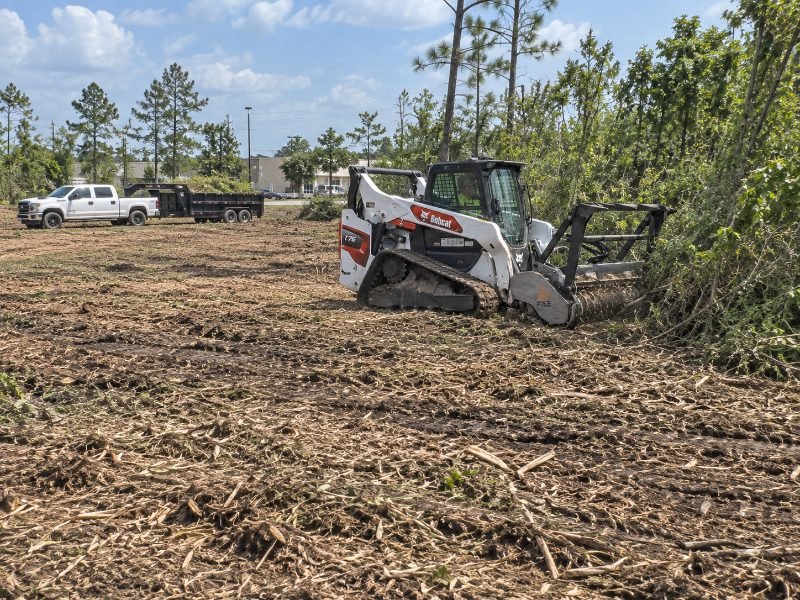 Land Clearing in Pearland